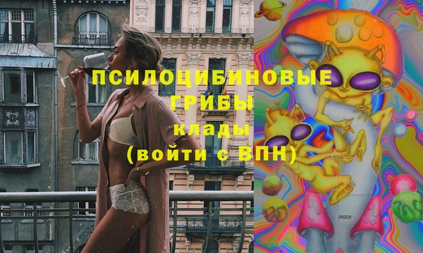 СК Надым