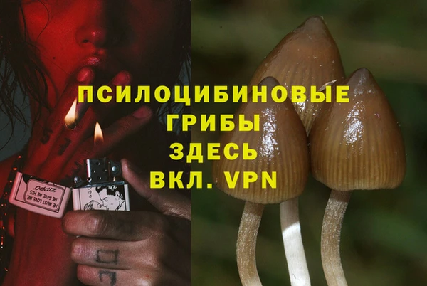 амф Верея
