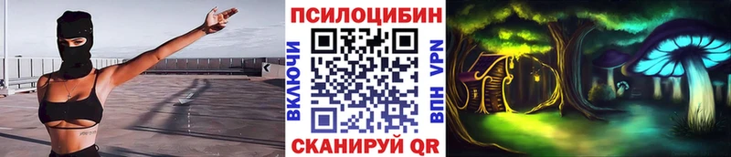 Галлюциногенные грибы Psilocybine cubensis  Цимлянск 