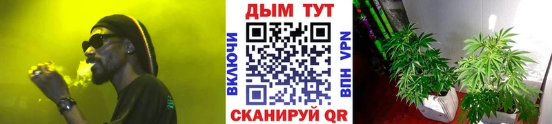 это клад  Цимлянск  Конопля ГИДРОПОН 